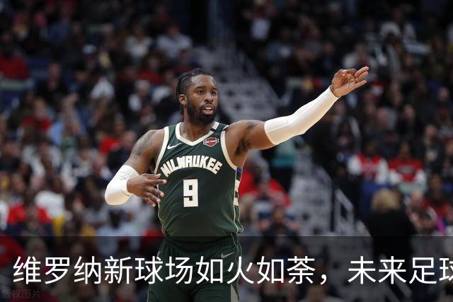 维罗纳新球场如火如荼，未来足球的家园要来了！